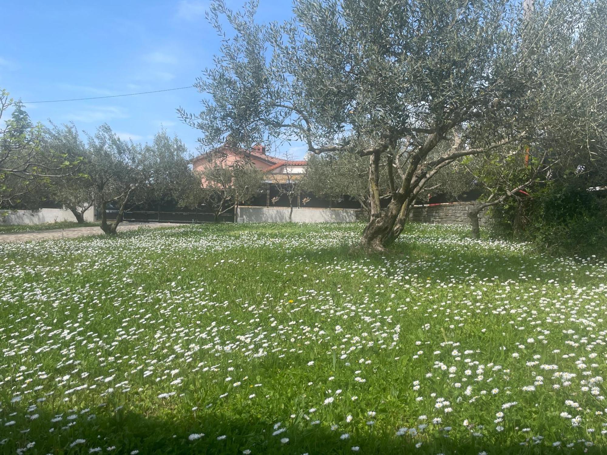 Paradise Villas With Swimming Pool Koper Exterior foto