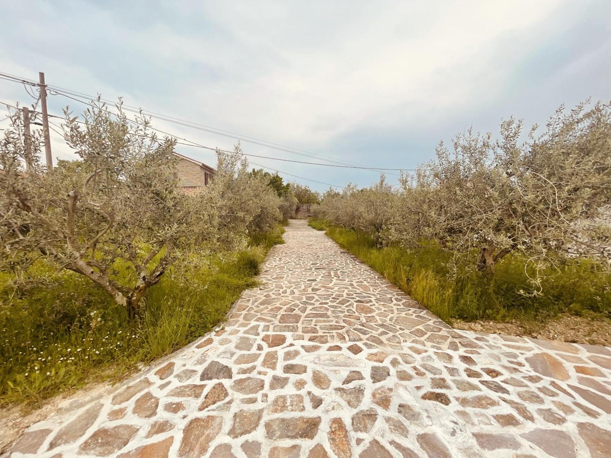 Paradise Villas With Swimming Pool Koper Quarto foto