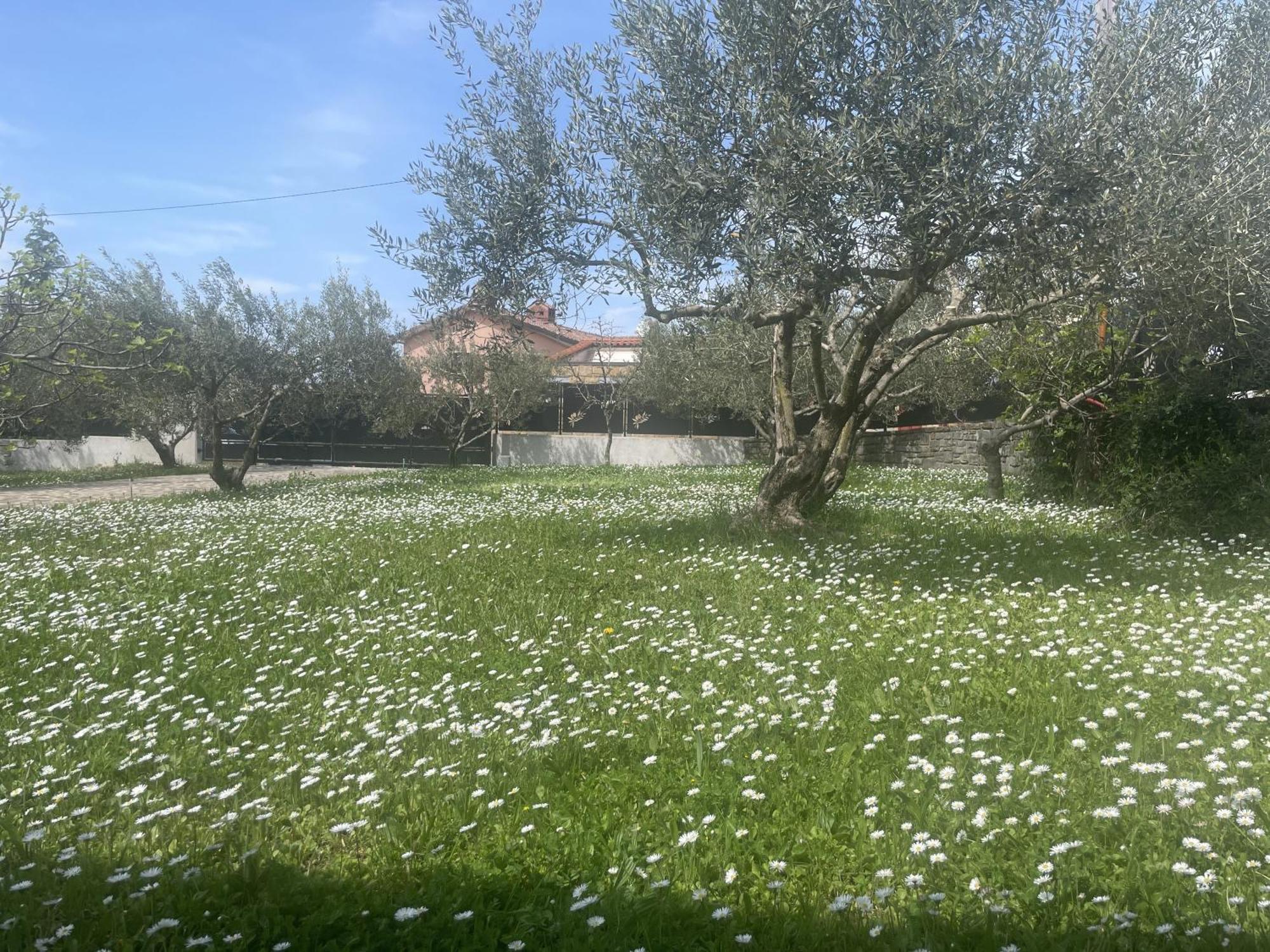 Paradise Villas With Swimming Pool Koper Quarto foto